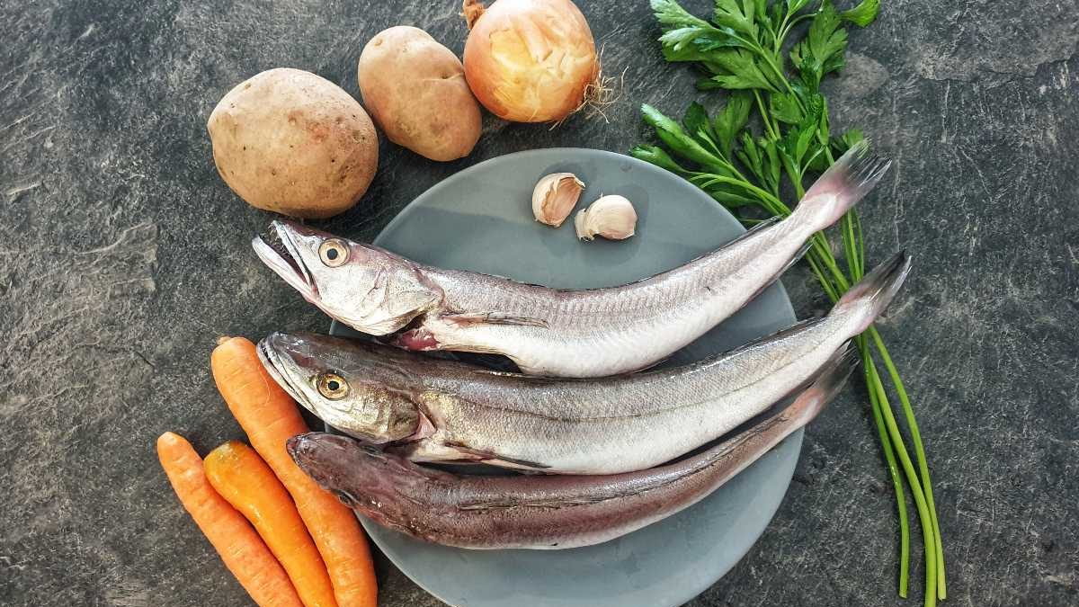 Junus I Riba Riblja juha: Ukusni i jako zdravi ručak | Maslinovo ulje | Brač - OPG ...